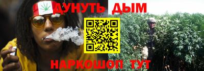 гидра Рязань