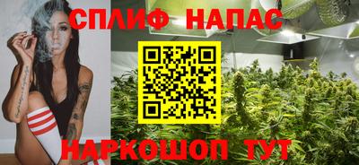 гидра Рязань