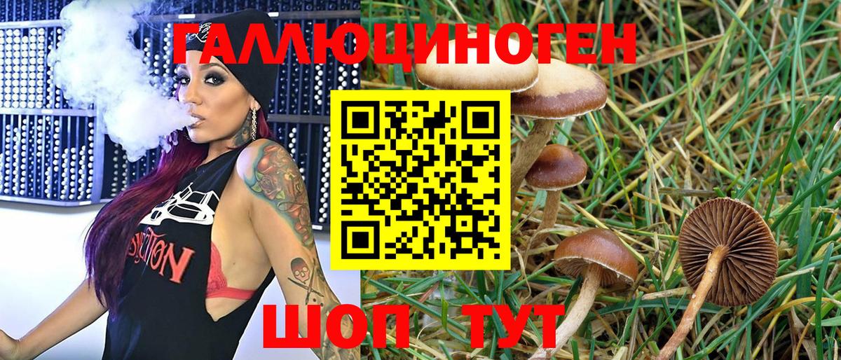 Ржев  Галлюциногенные грибы Psilocybine cubensis  купить   Вход с VPN  Галлюциногенные грибы Magic Shrooms 